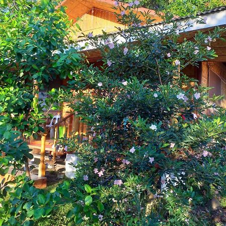 Sam'S Bed And Breakfast Dumaguete City Exterior photo